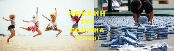 мет Новозыбков