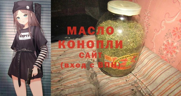 мет Новозыбков