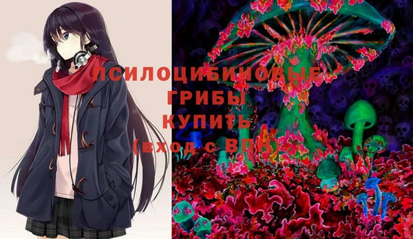 винт Абаза